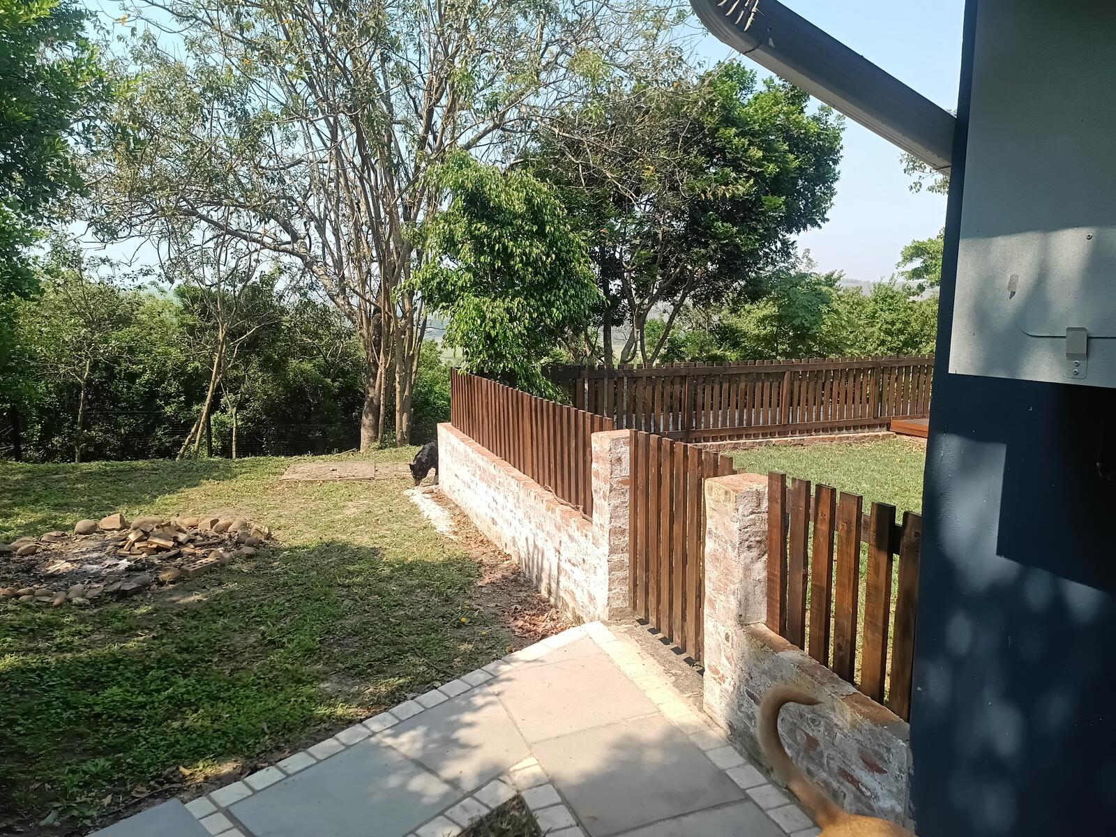 Fire pit area surrounded by trees