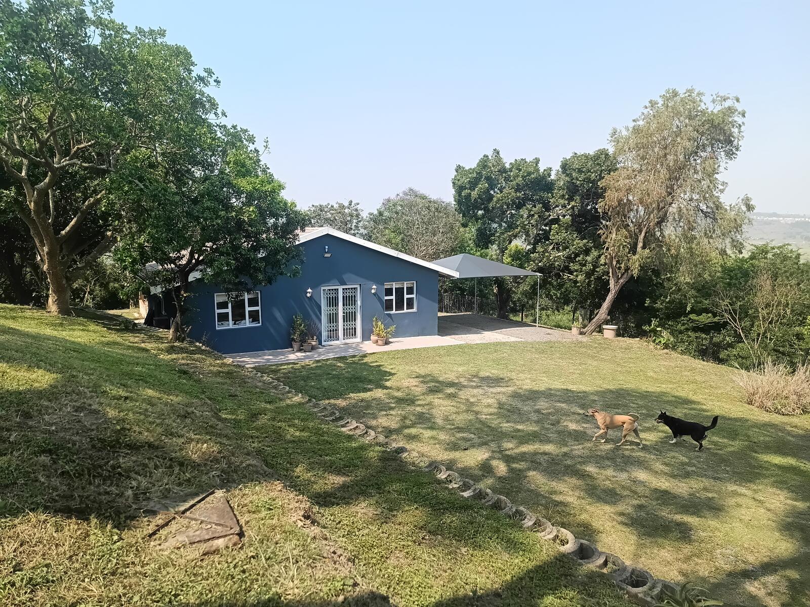 Care Cottage lawn and indigenous trees